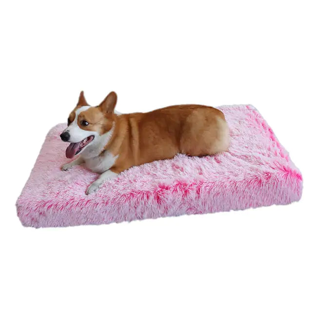 Furry Washable Dog Bed with High Quality Egg Crate Memory Foam