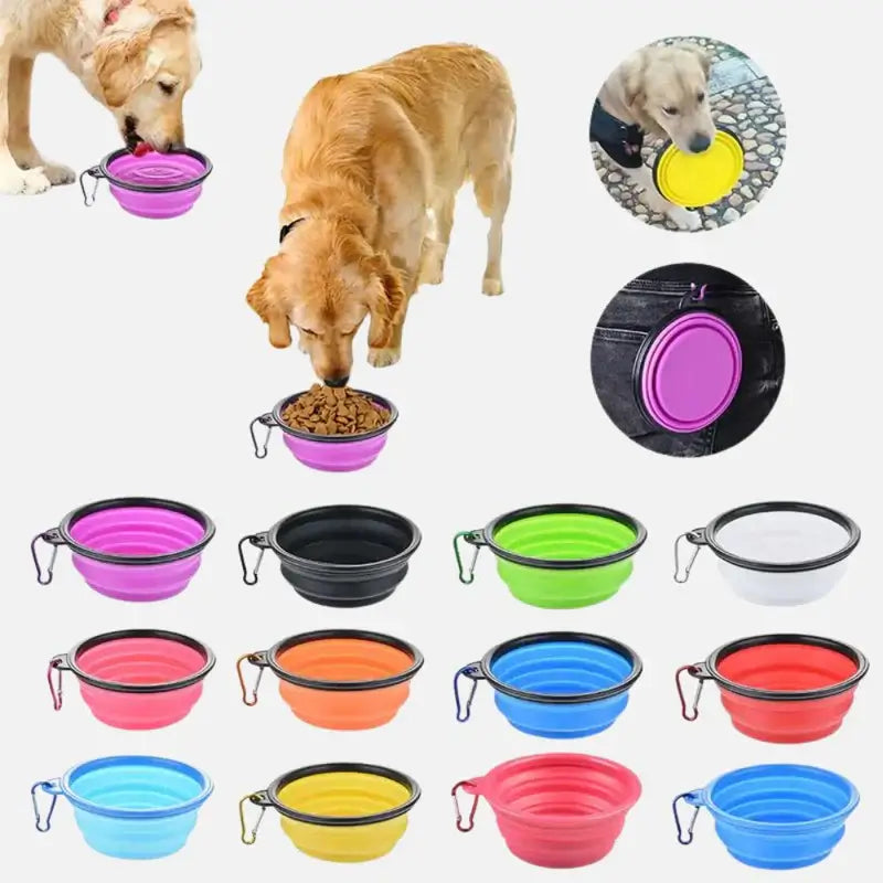 Pet Feeding Watering Bowls