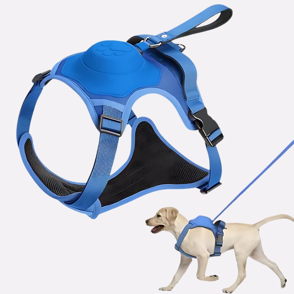 All-in-One Dog Harness and Retractable Leash Set