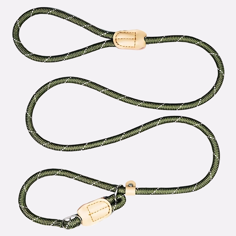 Dog Leash Durable Slip Training