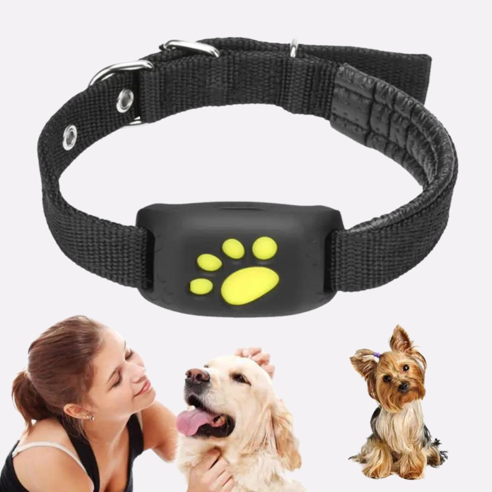 Pet GPS Tracker Collar