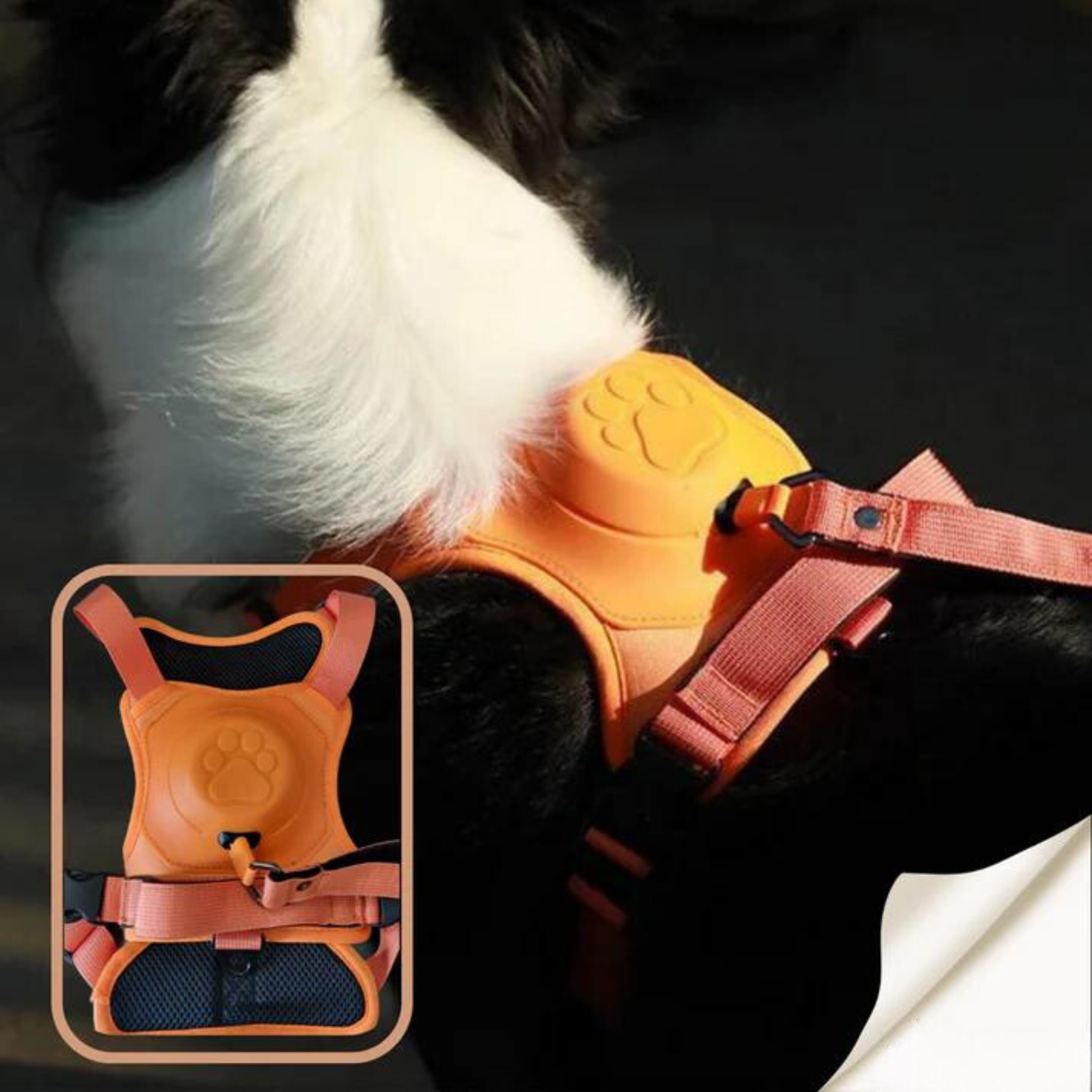 All-in-One Dog Harness and Retractable Leash Set