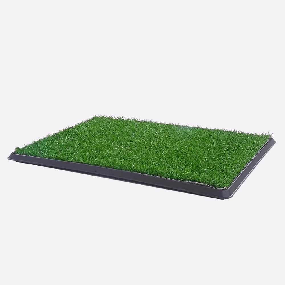 Puppy Dog Pet Potty Training Pee Grass