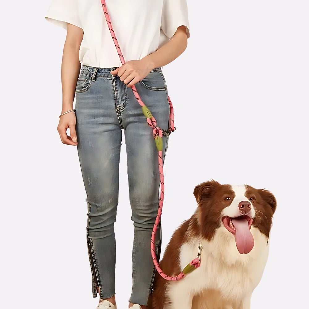 Reflective Nylon Dog Leashes