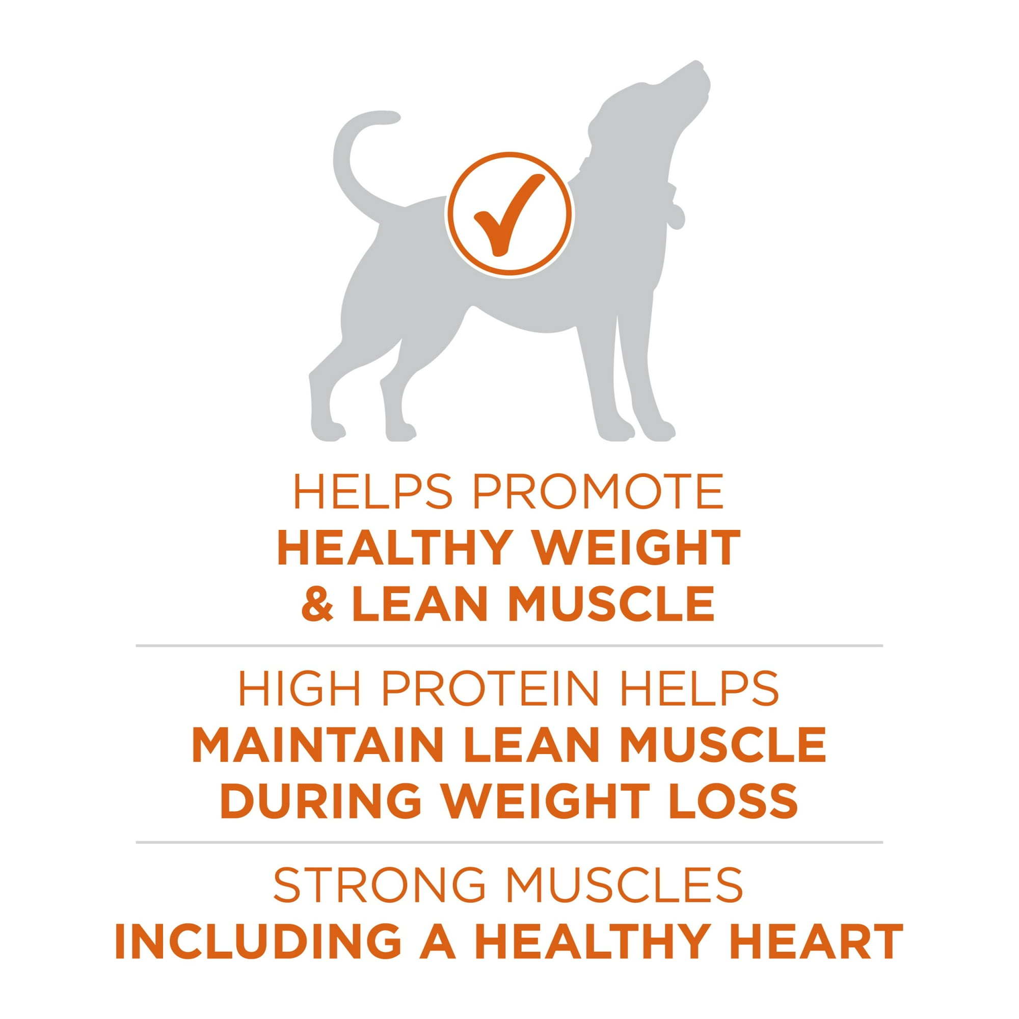 Purina ONE Plus Healthy Weight Dog Food Dry Formula