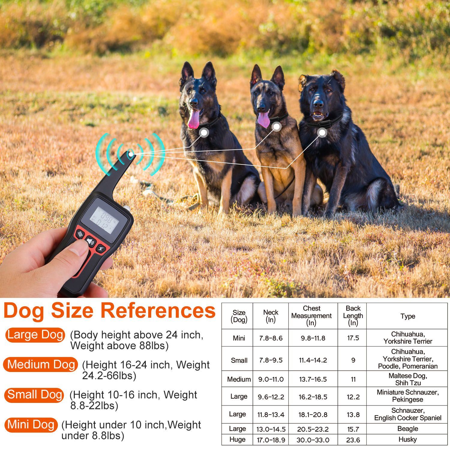 Dog Training Collar IP67 Range