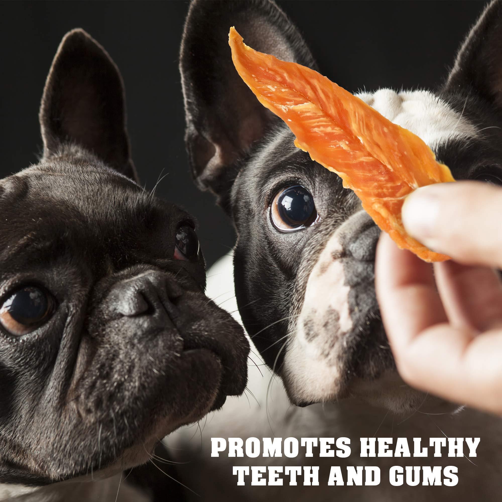 Chicken Jerky Dog Treats 1.5 Lb Human Grade Pet Snacks Grain Free Organic Meat All Natural High Protein Dried Strips Best Chews for Training Small & Large Dogs