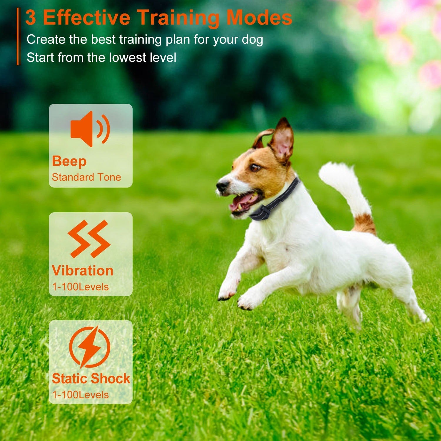 Dog Training Collar IP67 Range