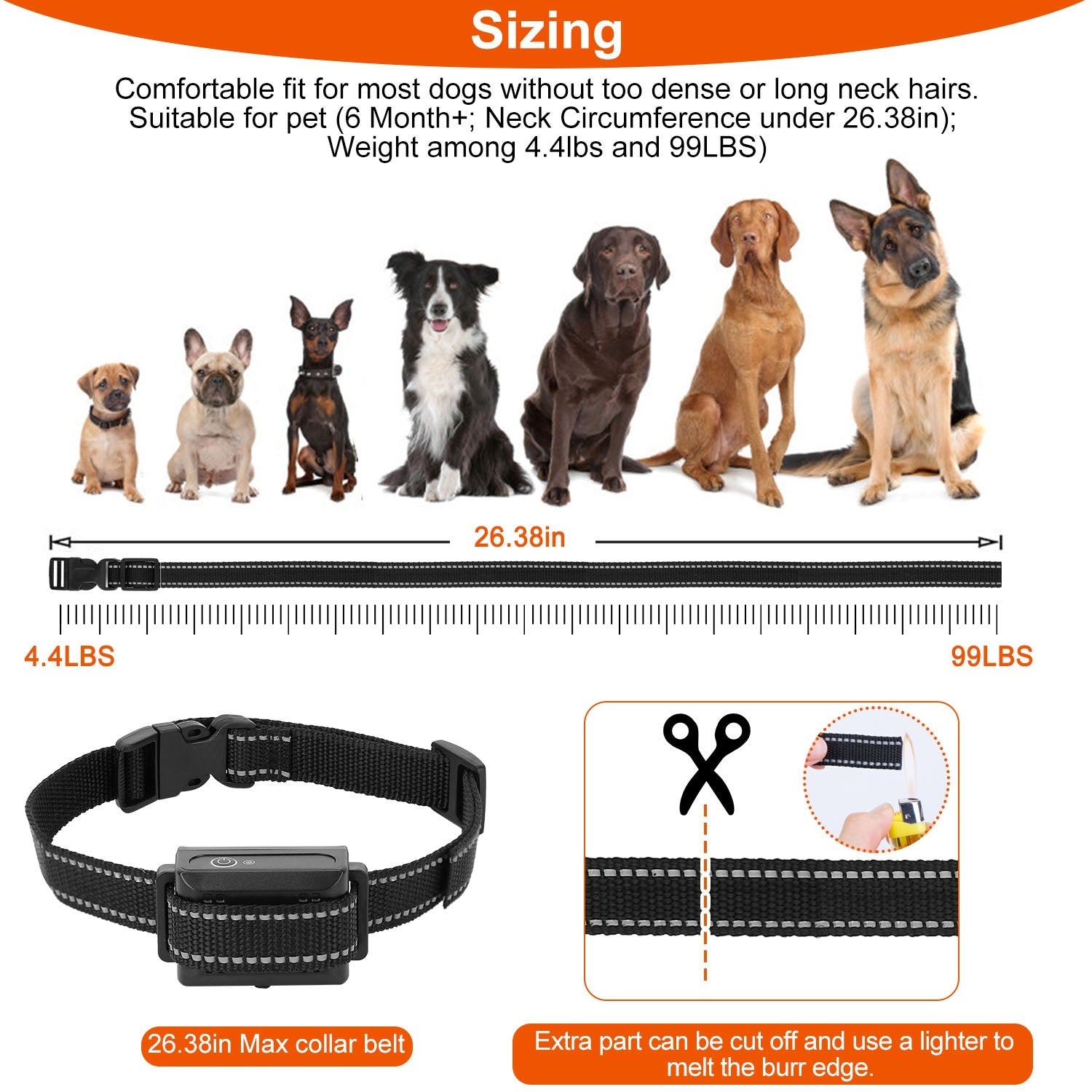 Dog Training Collar IP67 Range