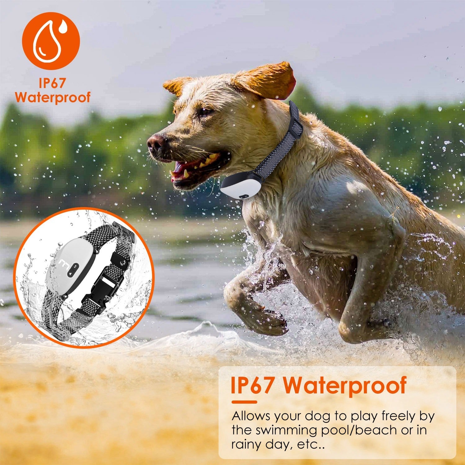 Dog Training Collar IP67 Waterproof