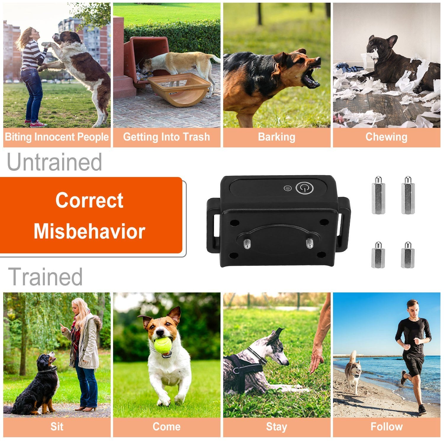 Dog Training Collar IP67 Range