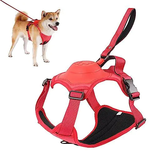 All-in-One Dog Harness and Retractable Leash Set