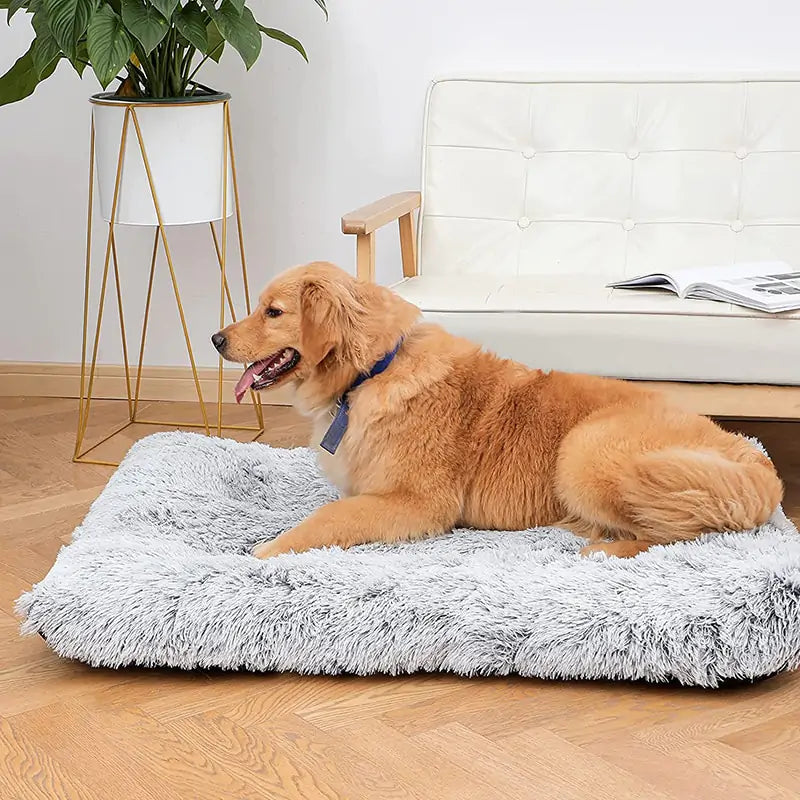 Furry Washable Dog Bed with High Quality Egg Crate Memory Foam