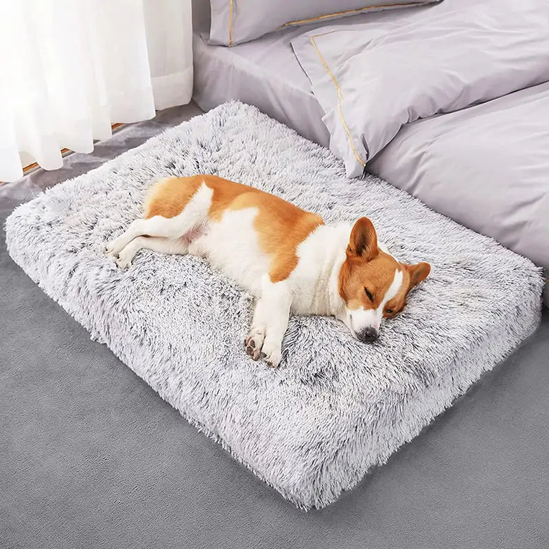 Furry Washable Dog Bed with High Quality Egg Crate Memory Foam