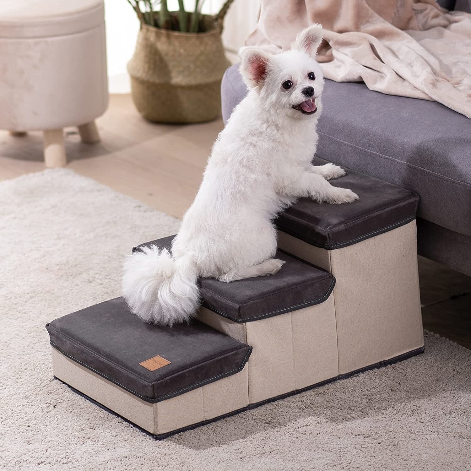 Mewoofun Dog Stairs for Small Dogs