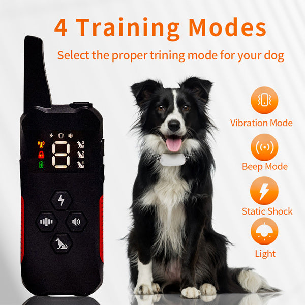 Electric Pet Dog Training Collar