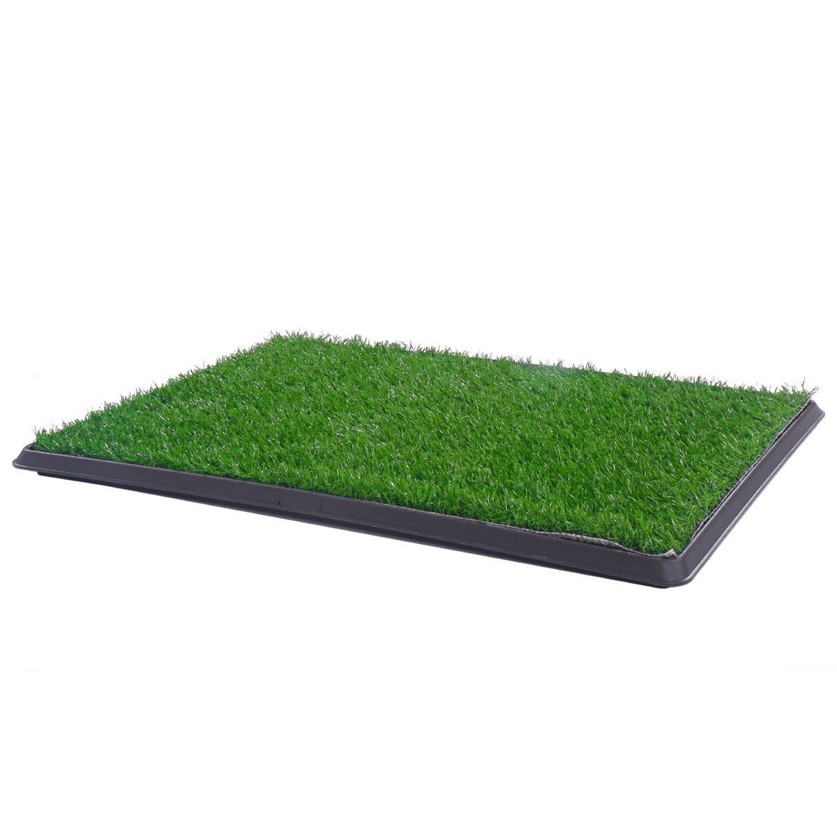 Puppy Dog Pet Potty Training Pee Grass