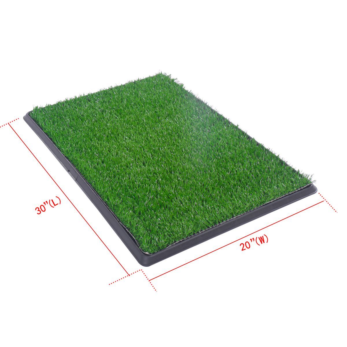 Puppy Dog Pet Potty Training Pee Grass