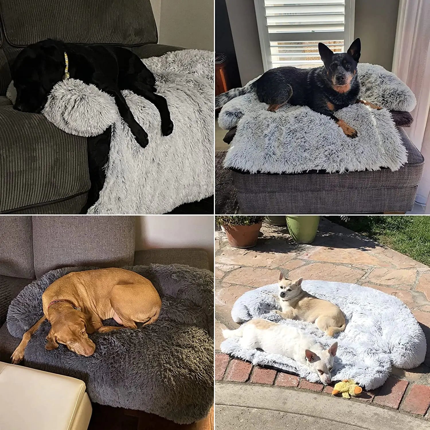 Pet Dog Bed Cushion for Furniture