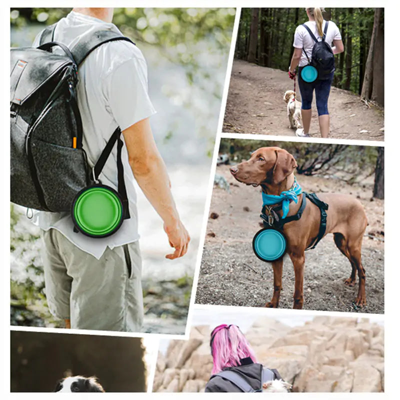 Pet Feeding Watering Bowls