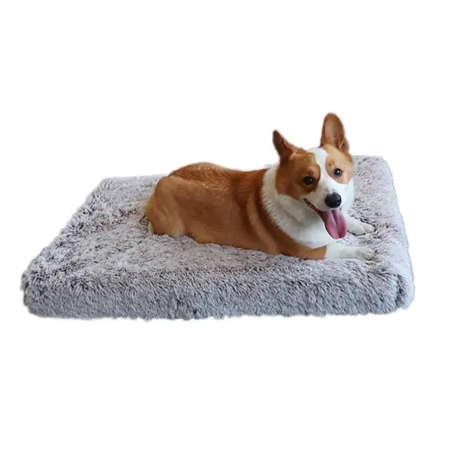 Furry Washable Dog Bed with High Quality Egg Crate Memory Foam